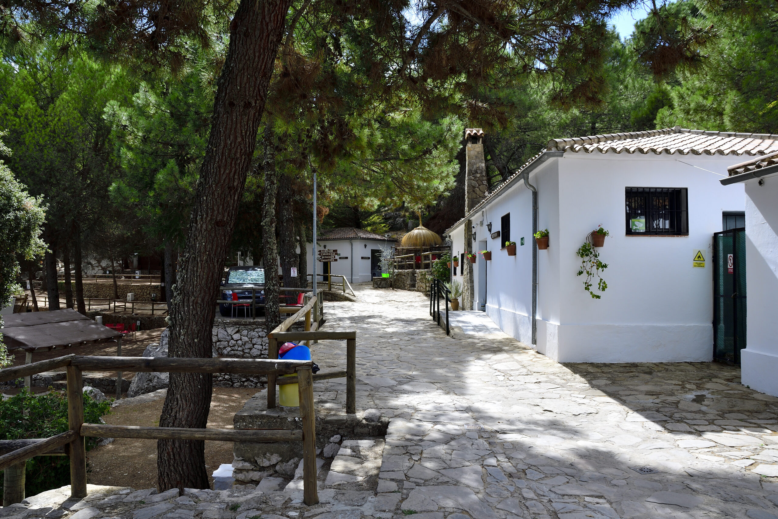 Camino natural en el Camping Tajo Rodillo, Grazalema